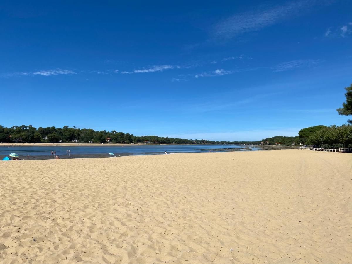 Un Cocon Climatise Au Bord Du Lac D'Hossegor سورت-هوسيغور المظهر الخارجي الصورة